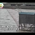 【画像】釣りよか・家族でも楽しめる有明海の伝統漁法「棚じぶ」でエビ一網打尽！ 〜 画像1