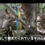 【画像】「本当に県道？」山梨最恐の険道113号をハンターカブで激走！落石看板に驚く絶景旅 〜 画像1