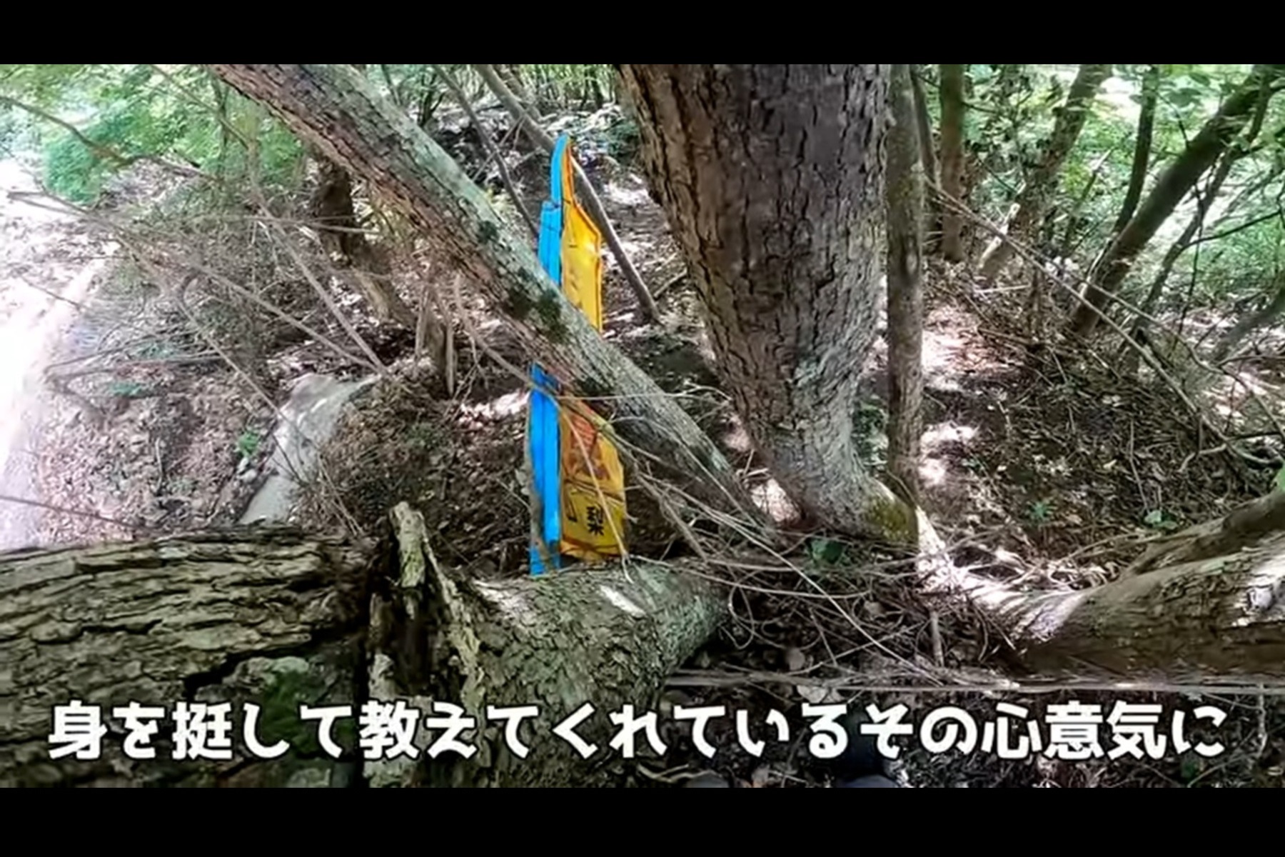 山梨県の県道113号線。皮肉にも落石で被災した「落石注意」の看板