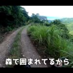 【画像】「本当に県道？」山梨最恐の険道113号をハンターカブで激走！落石看板に驚く絶景旅 〜 画像1