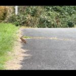 【画像】「独り時間が最高」軽自動車で山籠もり！ 寒さ対策と家電を駆使した大人の車中泊 〜 画像1