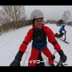 【画像】訪日コロンビア人観光客の視点から日本の魅力を再発見！ 志賀高原で人生初の雪に60歳の父号泣 〜 画像1