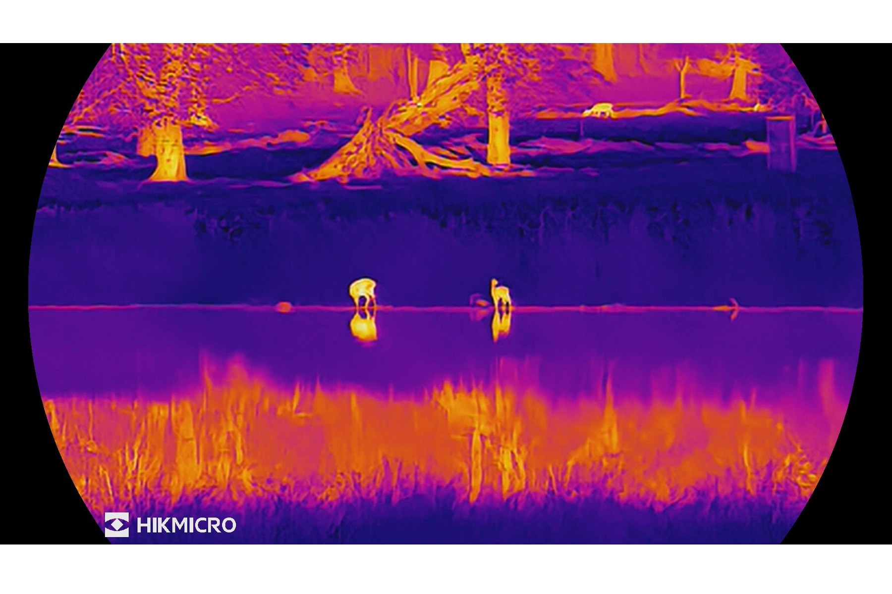 NETDは業界トップクラスの15mK未満を達成したHIKMICRO LYNX3.0シリーズのディスプレイイメージ