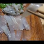 【画像】「片手で持てる？」19kgの免許不要2馬力SUPが機動力抜群！能登でアオリイカを追う車中泊DIY旅 〜 画像1