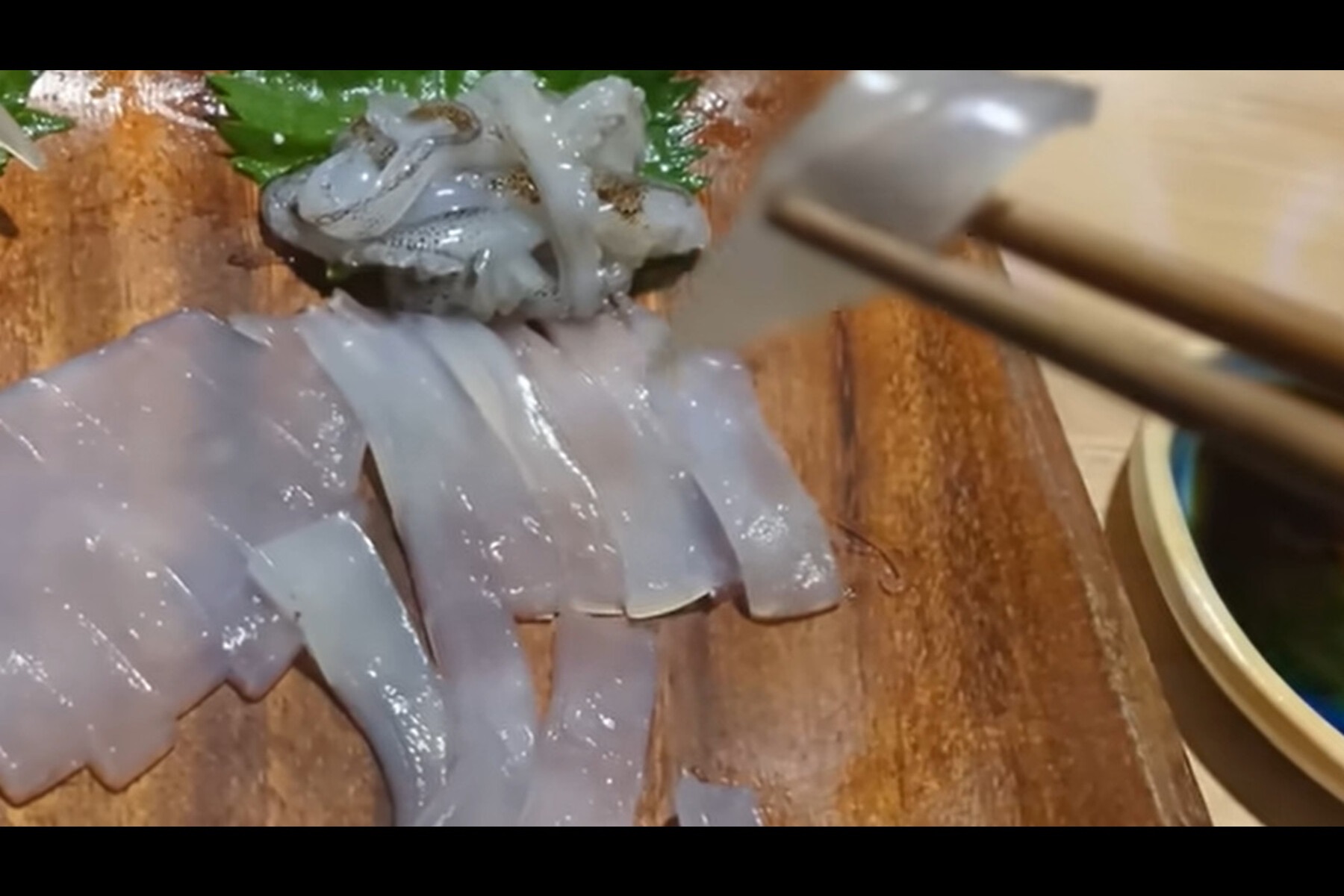 釣り上げたアオリイカを刺身に。