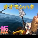 【画像】西伊豆で魚探電池切れもまさかの高級魚ゲット！しかし深夜のテントで戦慄の恐怖体験 〜 画像1