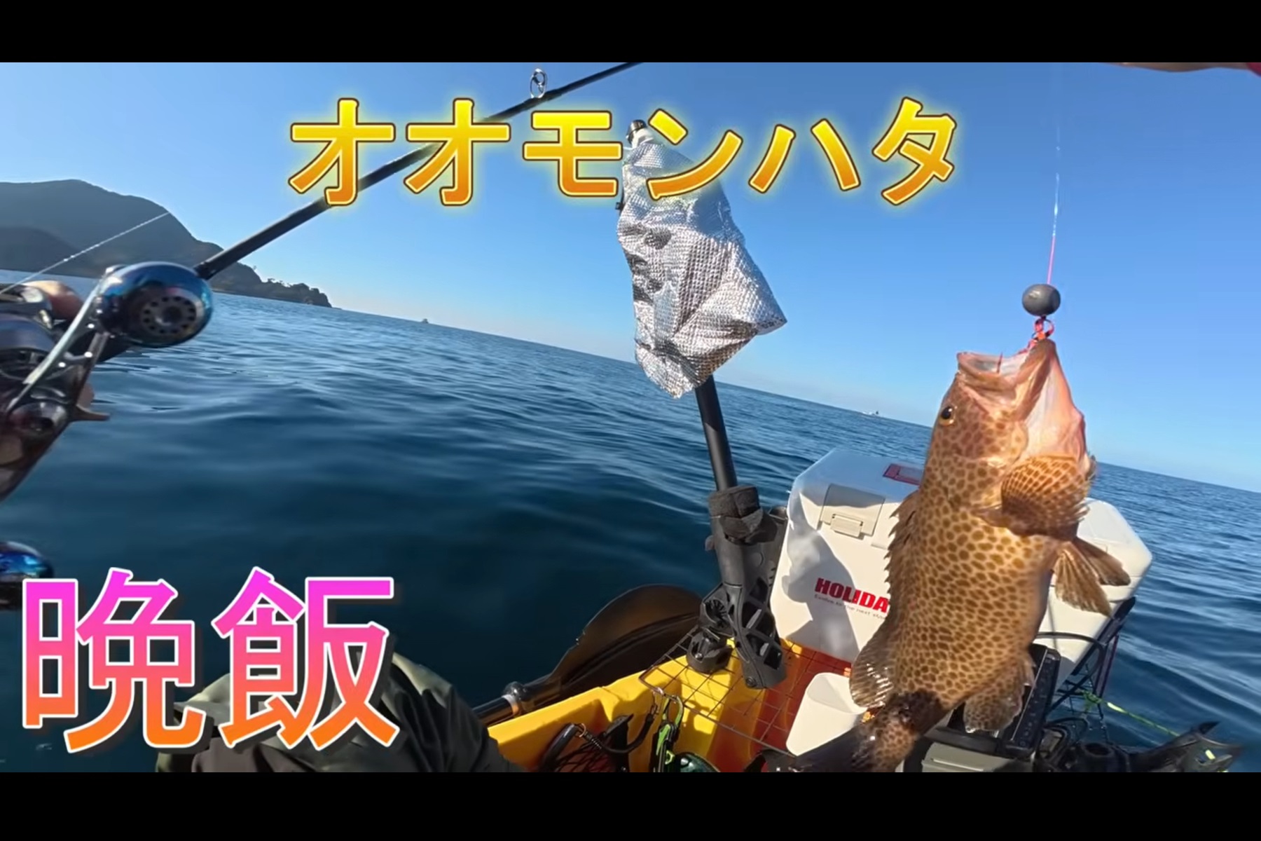 西伊豆で釣り上げたオオモンハタ