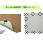 【画像】「風でシートが吹っ飛ぶ」問題が解決！　LOGOSの新作「レジャーシート」登場 〜 画像1