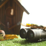 【画像】「声はすれど姿は見えず」を卒業！　野鳥を呼ぶ「バードコール」の自作法と守るべき「マナー」 〜 画像1