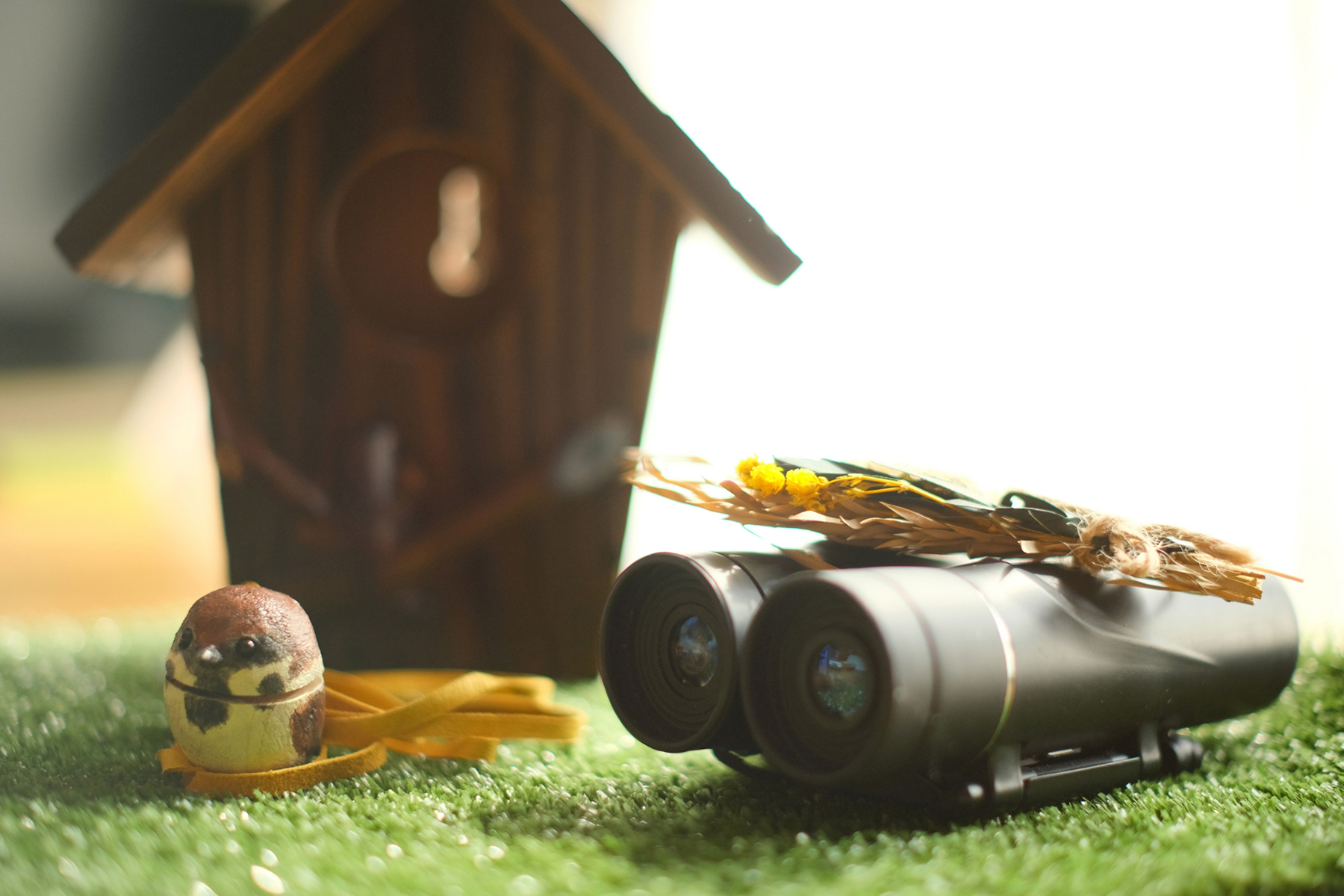 バードウォッチングのイメージ