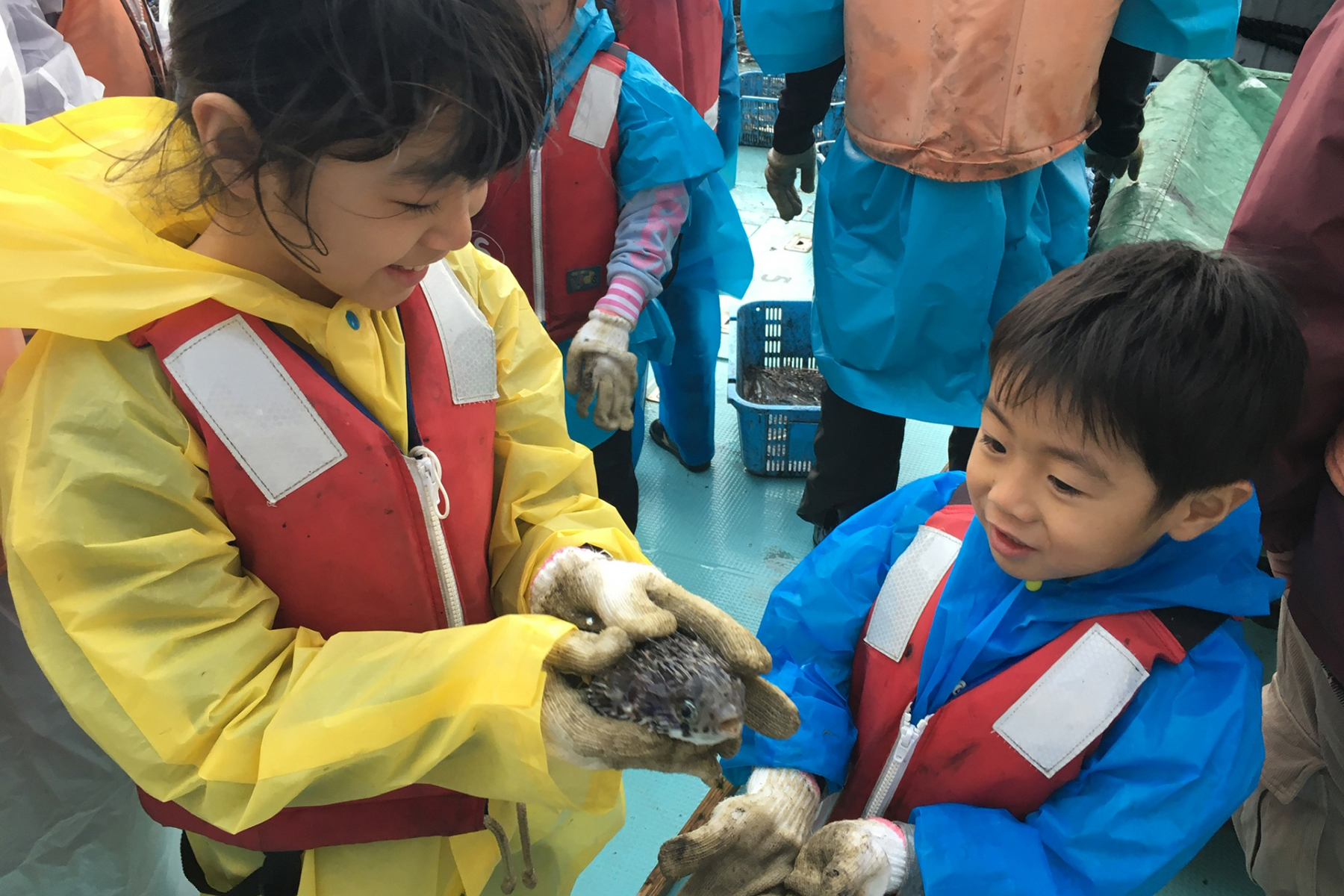 「農泊」の説明に関連する漁業体験のイメージ写真