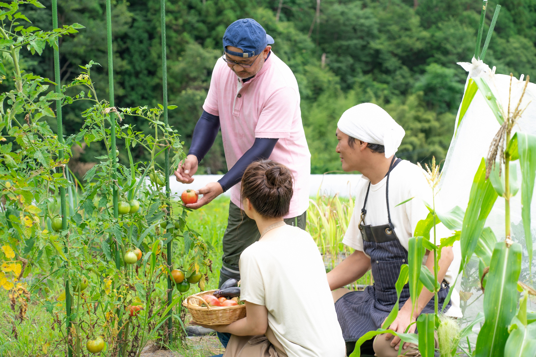 「農泊」の説明に関連する農業体験のイメージ写真