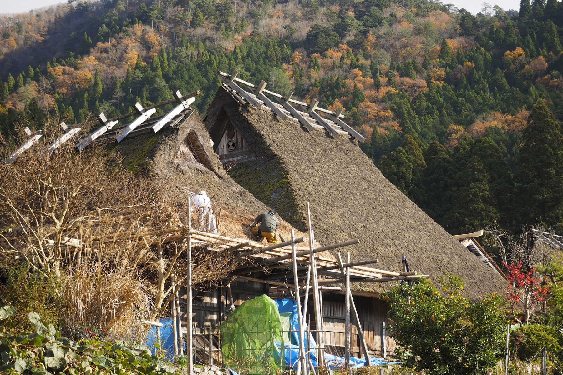 「農泊」の説明に関連する茅葺き屋根交換のイメージ写真