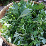 【画像】実はキャンプと相性がいい。　無添加・オーガニックで始める「食デトックス」入門 〜 画像1