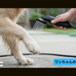 【画像】撤収時の「泥汚れ」にサヨナラ！　400gの超小型充電式シャワー「AnyWash」でキャンプを快適に 〜 画像1