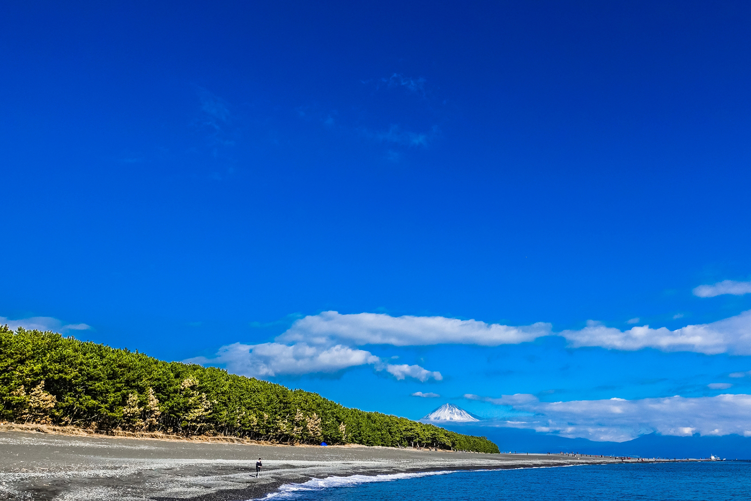 駿河湾海岸から望む三保松原