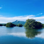 【画像】日本三景はもうひとつあった！　大正時代の読者が投票で選んだ「日本新三景」とは 〜 画像1