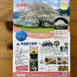 【画像】息を呑む美しさの箱根園「湖畔の一本桜」が見頃！　富士山と芦ノ湖を望む絶景旅 〜 画像1