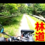 【画像】いま「林道ツーリング」がキテる！ 「関東最長20㎞ダート」の御荷鉾スーパー林道は初心者にもおすすめ 〜 画像1