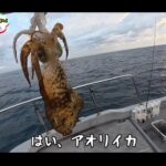 【画像】ティップランって何？「釣りよか」アオリイカ求め山口遠征で独特の釣り方が大爆釣を呼ぶ 〜 画像1
