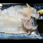 【画像】ティップランって何？「釣りよか」アオリイカ求め山口遠征で独特の釣り方が大爆釣を呼ぶ 〜 画像1