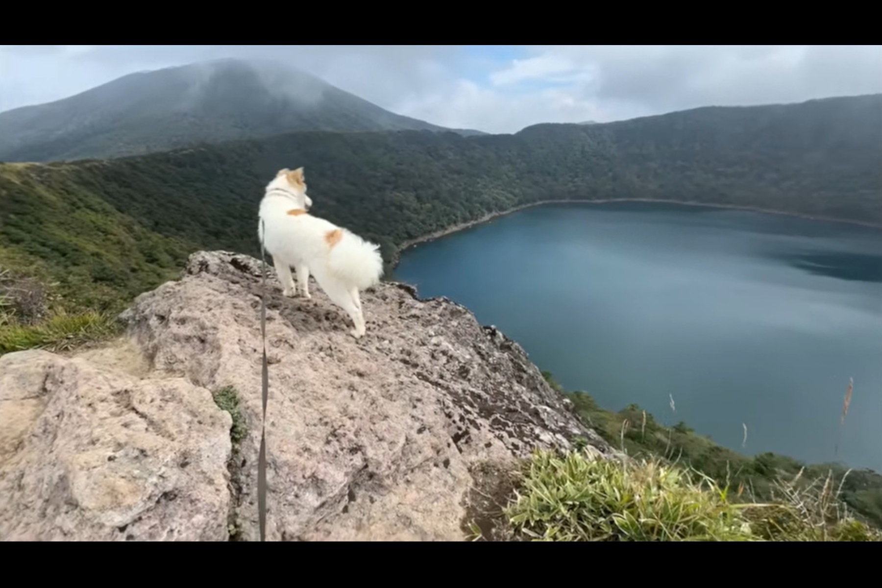 断崖絶壁の岩の上から大浪池を眺める「わんずと車中泊」の愛犬タナちゃん