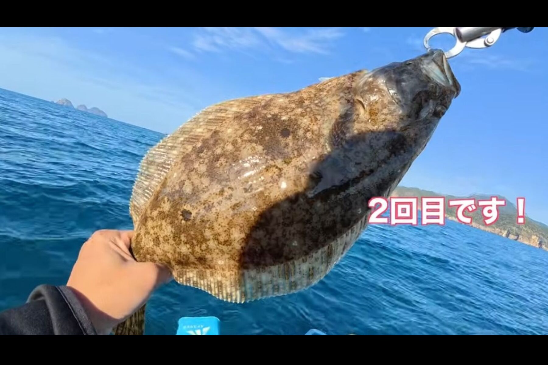 「サラ坊TV sarabouTV」が釣り上げたヒラメ