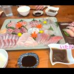 【画像】クーラーボックスに収まらない！巨大ヒラマサに「鯛やヒラメも舞い踊る」2馬力ボート沖釣り 〜 画像1