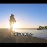 【画像】高速スタンプ巡りと海釣りへ！温冷庫を活用して「休日を使い倒す」アラフィフ女性の車中泊旅 〜 画像1