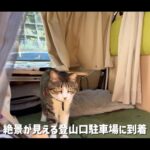 【画像】愛犬との登山はどう歩く？熊に怯えながら絶景「オハイブルー」を目指すスリリング車中泊 〜 画像1