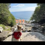 【画像】愛犬との登山はどう歩く？熊に怯えながら絶景「オハイブルー」を目指すスリリング車中泊 〜 画像1