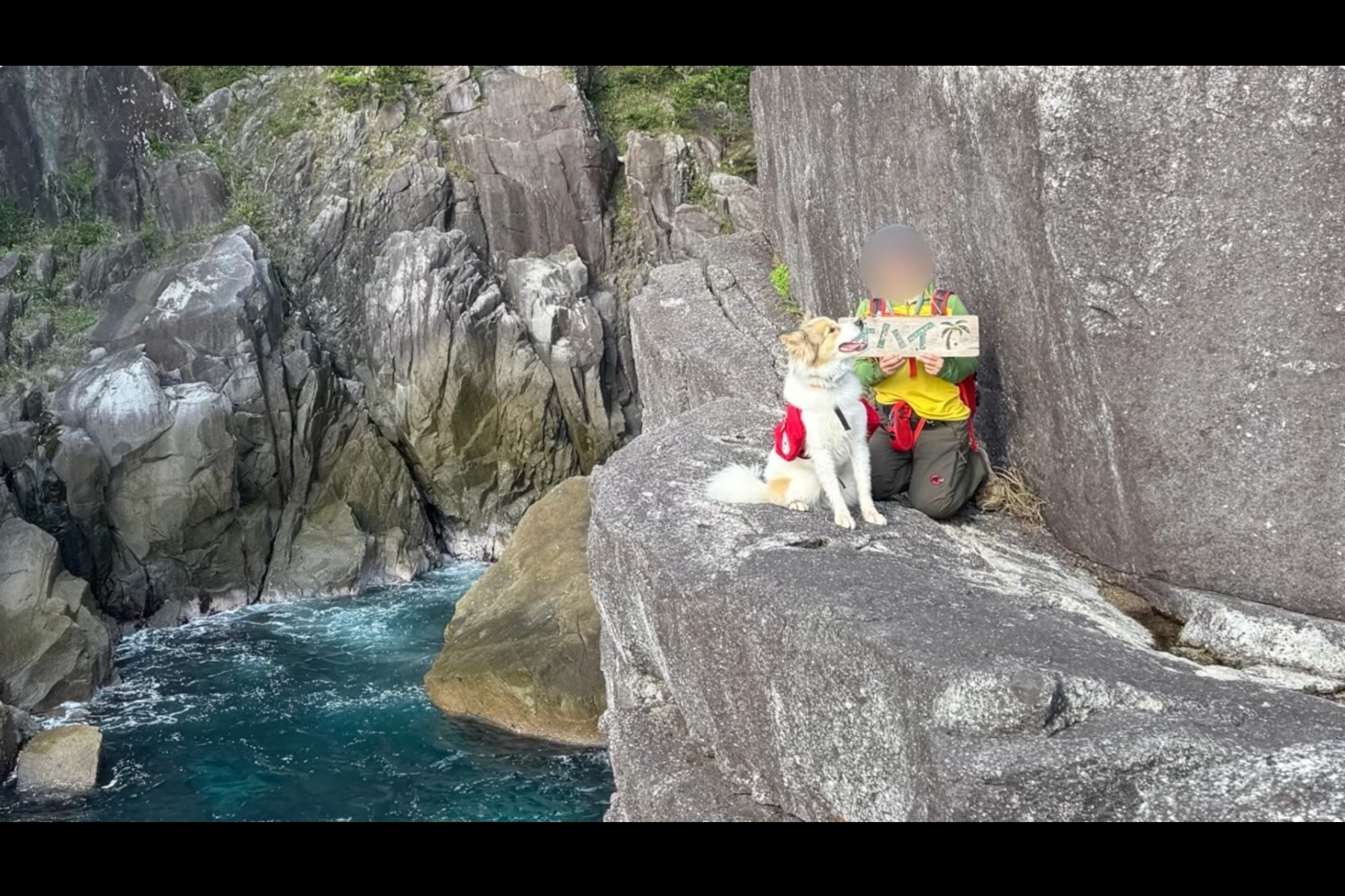オハイブルーの撮影スポットで愛犬タナと写真に納まる「わんずと車中泊」