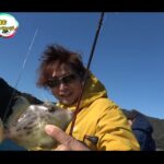 【画像】高い竿ほどよく釣れる？「釣りよか」大分遠征で高級魚カワハギを6万円と1万円台で狙う 〜 画像1