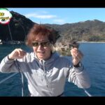 【画像】高い竿ほどよく釣れる？「釣りよか」大分遠征で高級魚カワハギを6万円と1万円台で狙う 〜 画像1