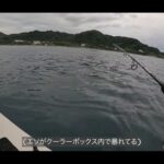 【画像】狙いは青物もまさかのエソ連発！　自作キャンピングカー車中泊と二馬力SUPで楽しむ休日 〜 画像1