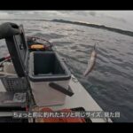 【画像】狙いは青物もまさかのエソ連発！　自作キャンピングカー車中泊と二馬力SUPで楽しむ休日 〜 画像1