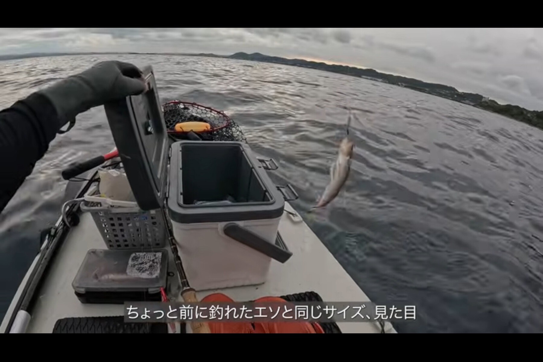 二馬力SUPで青物を狙うも、釣れたのはエソ