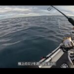 【画像】狙いは青物もまさかのエソ連発！　自作キャンピングカー車中泊と二馬力SUPで楽しむ休日 〜 画像1