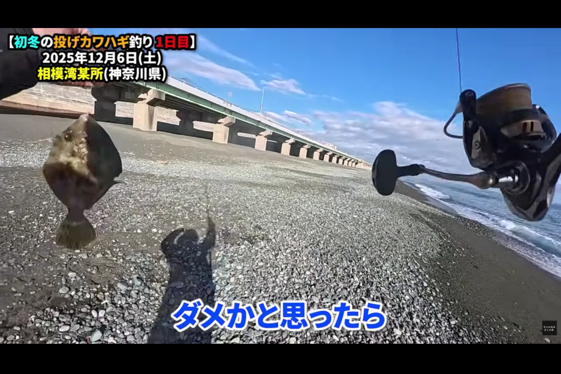数時間粘るも全く釣れず諦めかけたときに釣れたカワハギ