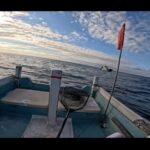【画像】38cmアカハタに隠れた高級魚も！　和歌山で伝馬船「カセ釣り」初挑戦で驚きの釣果 〜 画像1