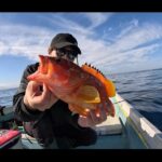 【画像】38cmアカハタに隠れた高級魚も！　和歌山で伝馬船「カセ釣り」初挑戦で驚きの釣果 〜 画像1