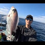 【画像】38cmアカハタに隠れた高級魚も！　和歌山で伝馬船「カセ釣り」初挑戦で驚きの釣果 〜 画像1