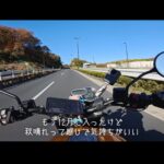 【画像】目的は絶景よりアニマルセラピー？　生後3カ月の「赤ちゃんブタ」に癒やされる極上ツーリング 〜 画像1
