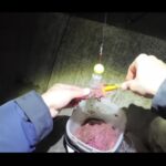【画像】「尺アジが釣れた」と聞きつけ仕事後に急行！　深夜の堤防で夫婦50匹以上の爆釣記録 〜 画像1