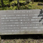 【画像】「箱根・山のホテル」のツツジは84種3000株！　しかも「植物遺産」に認定されていた 〜 画像1