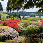 【画像】「箱根・山のホテル」のツツジは84種3000株！　しかも「植物遺産」に認定されていた 〜 画像1