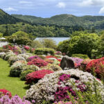 【画像】「箱根・山のホテル」のツツジは84種3000株！　しかも「植物遺産」に認定されていた 〜 画像1
