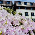 【画像】「箱根・山のホテル」のツツジは84種3000株！　しかも「植物遺産」に認定されていた 〜 画像1