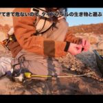 【画像】「起きたら即絶景！」鴨川の海辺でダイソー「1200円の釣具」と楽しむ女子ソロ車中泊 〜 画像1