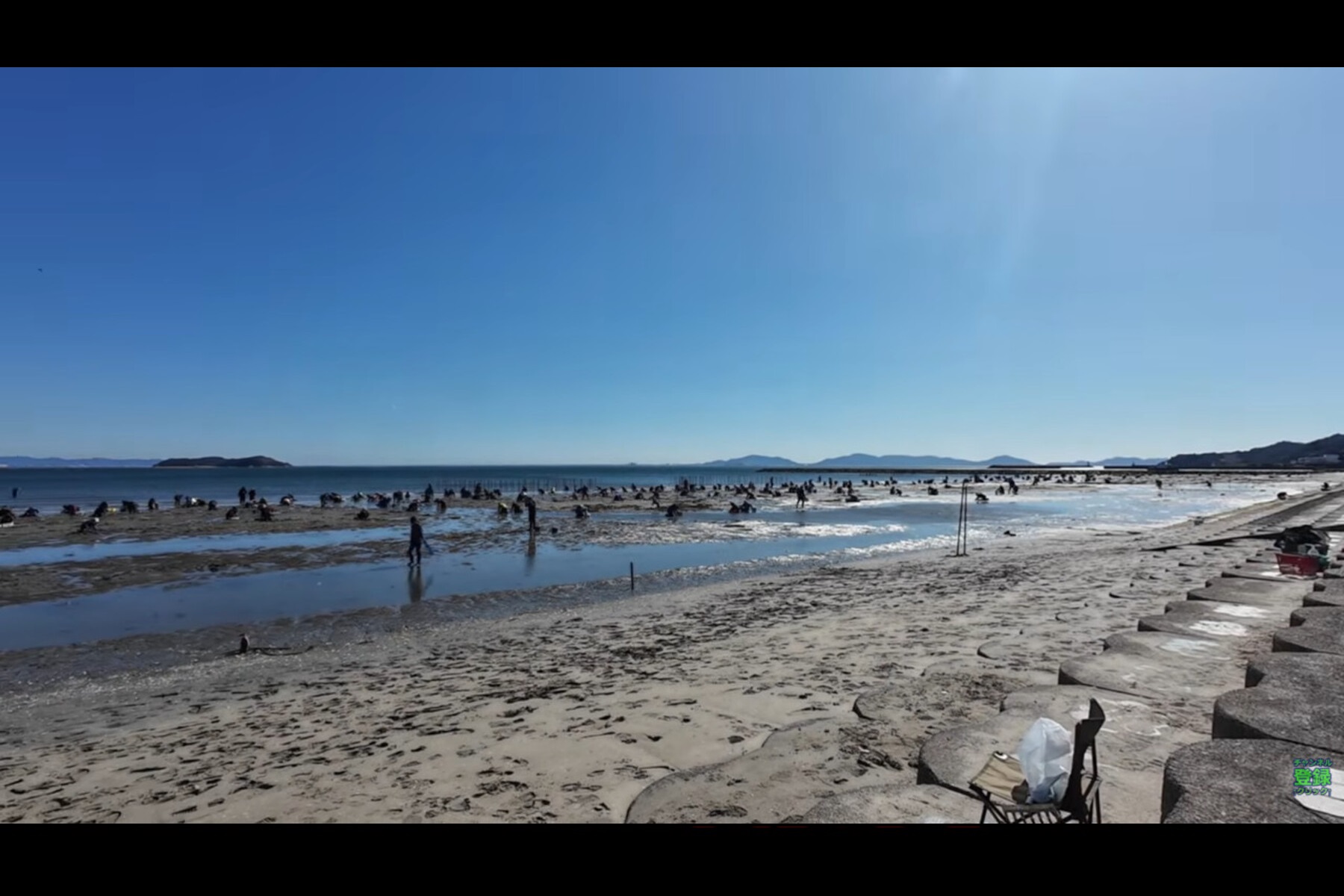 愛知県蒲郡市にある春日浦海岸で潮干狩り